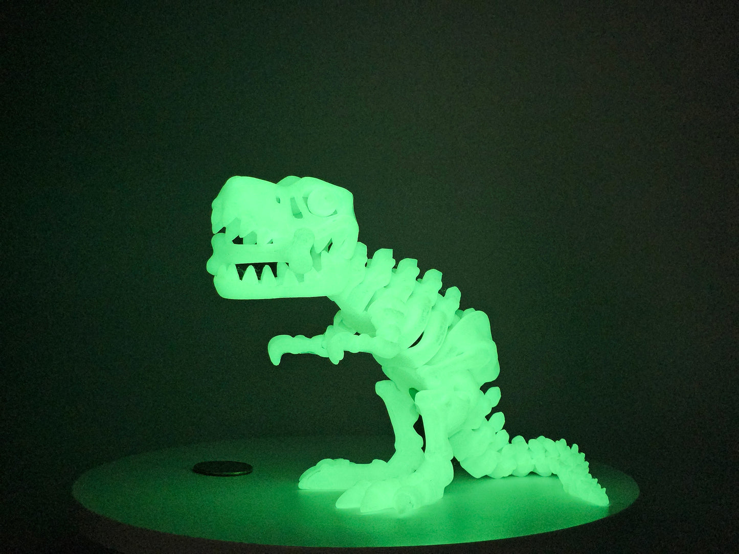 Skeleton T-Rex with Bone