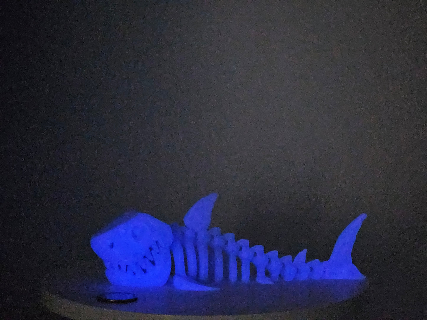 Skeleton Shark