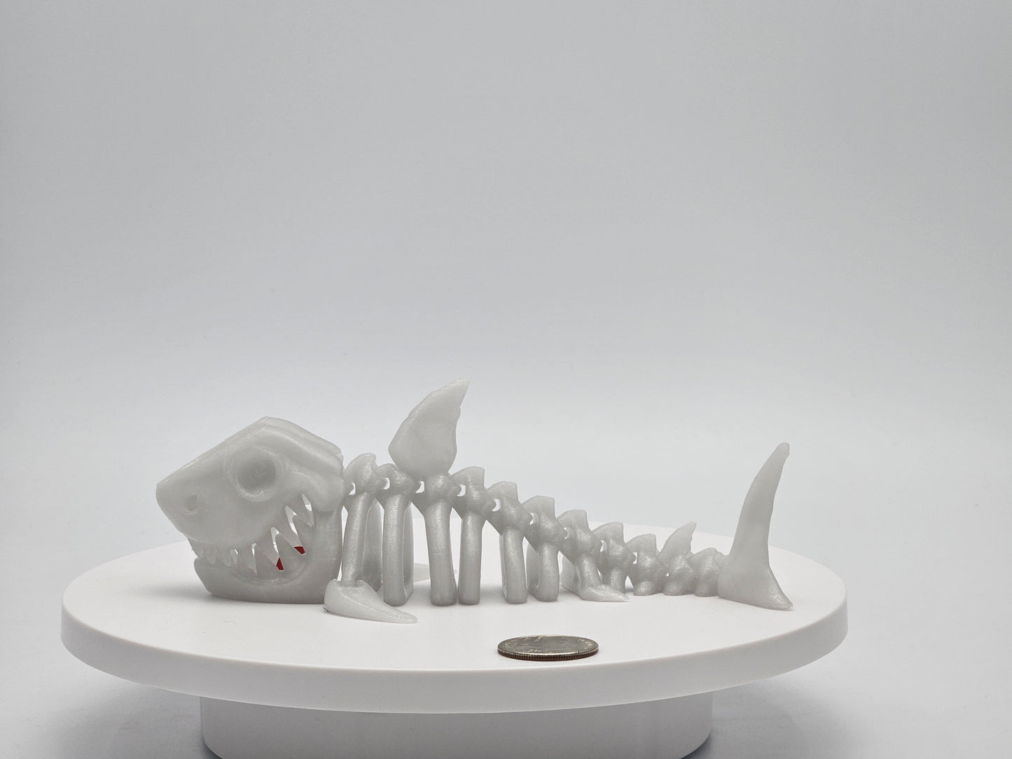 Skeleton Shark