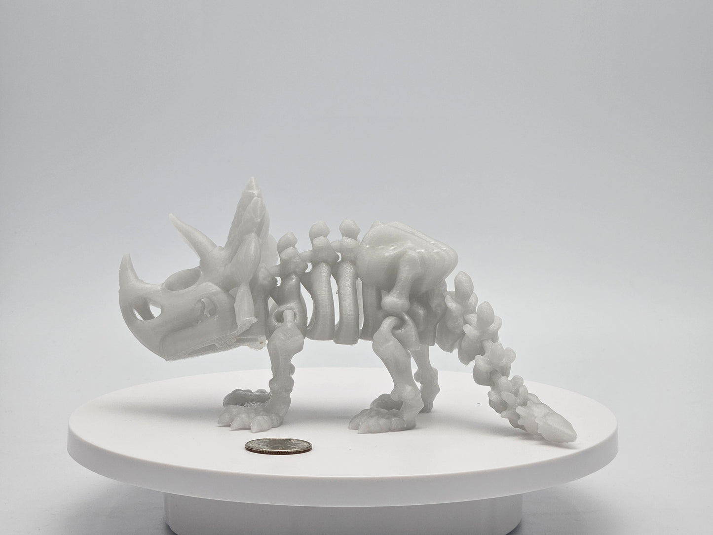 Skeleton Triceratops