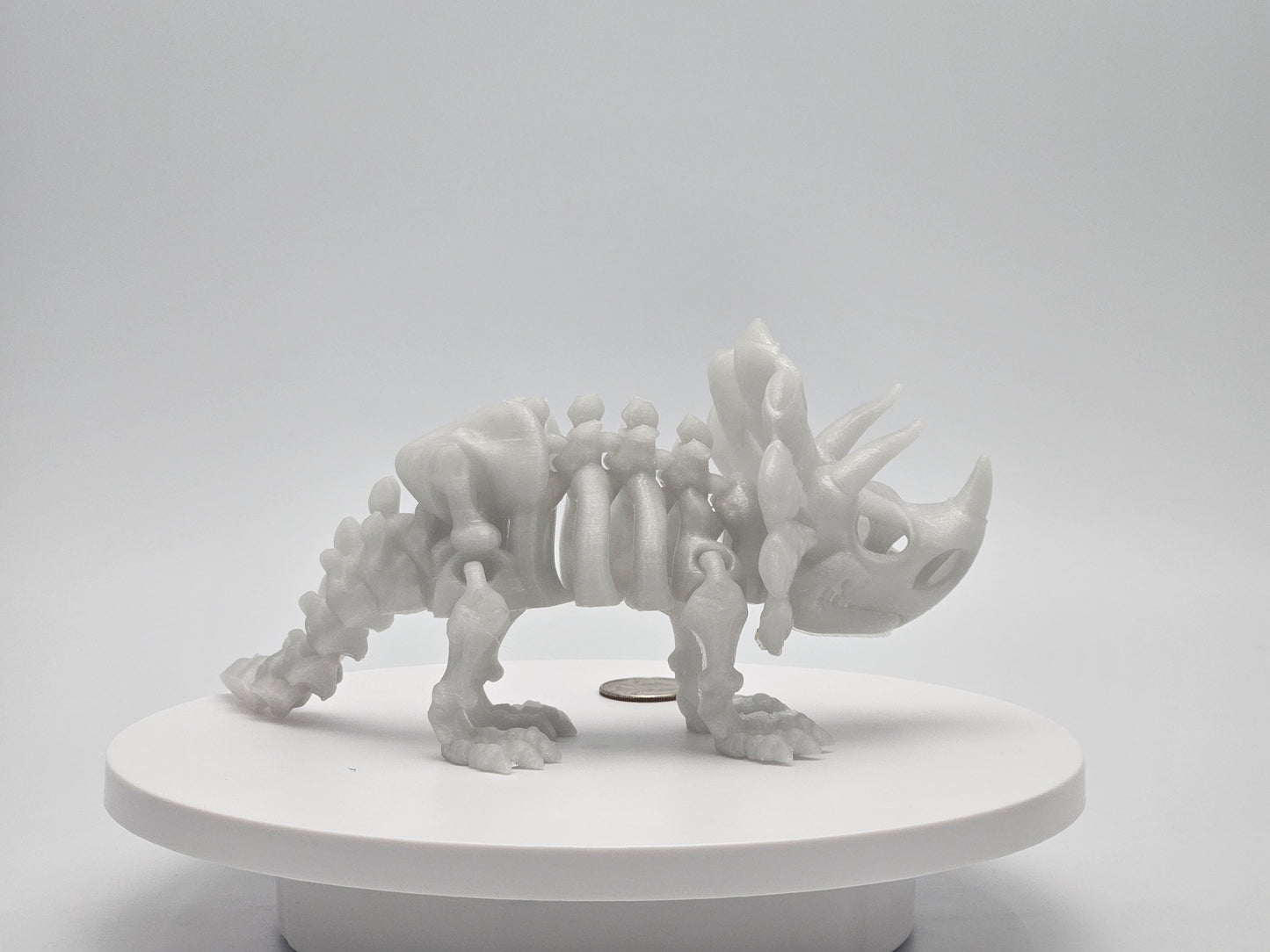 Skeleton Triceratops