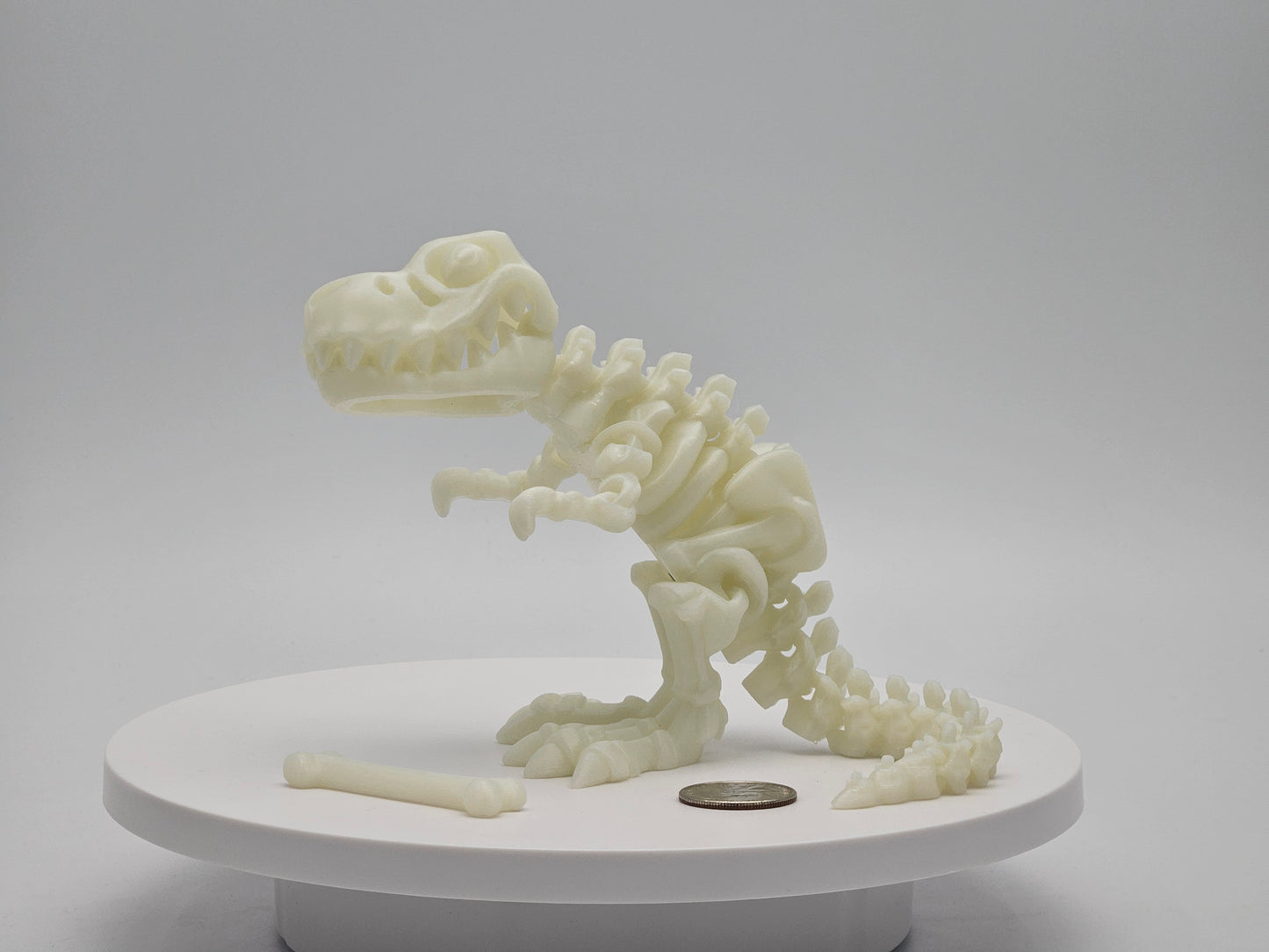 Skeleton T-Rex with Bone