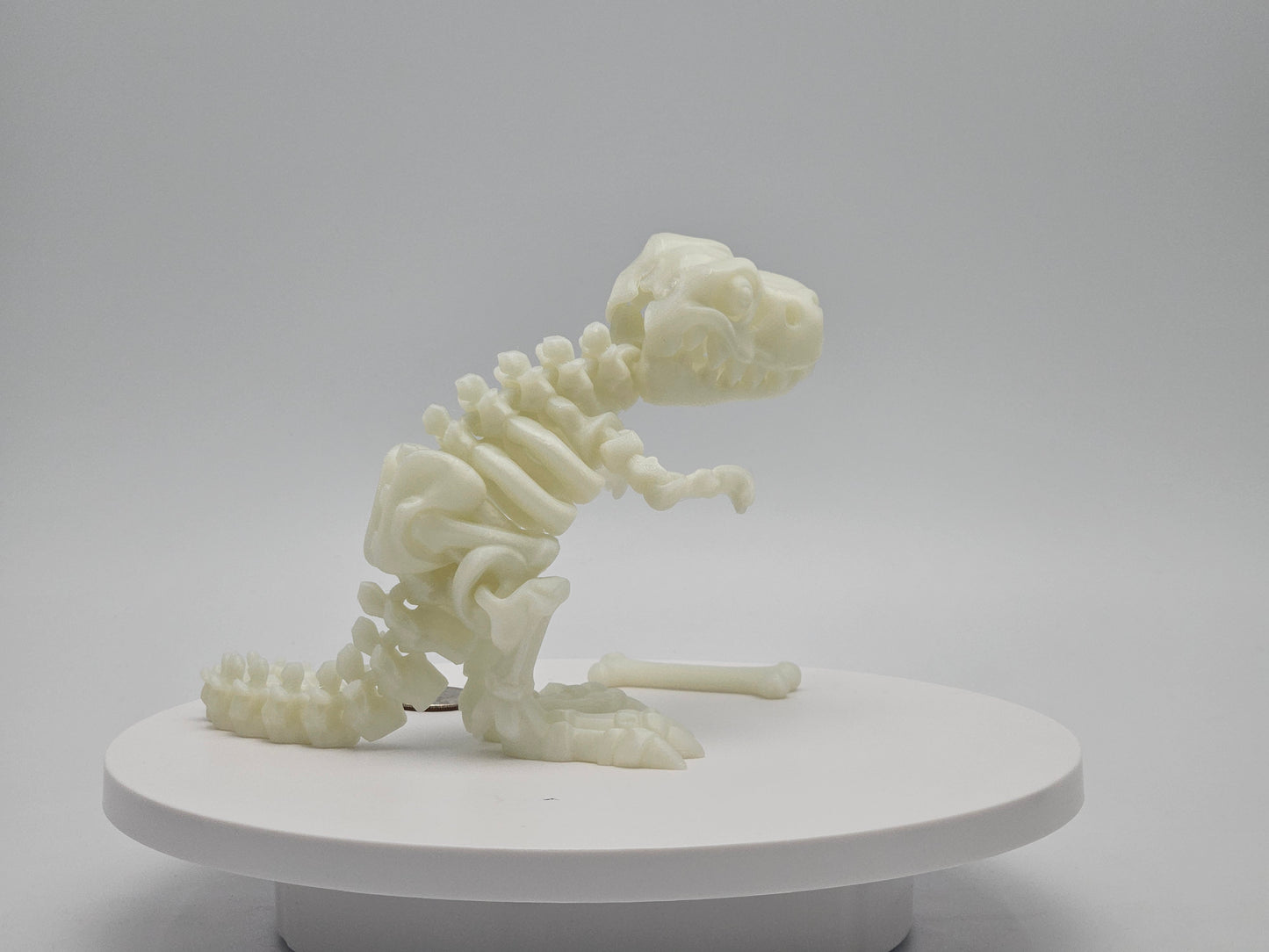 Skeleton T-Rex with Bone