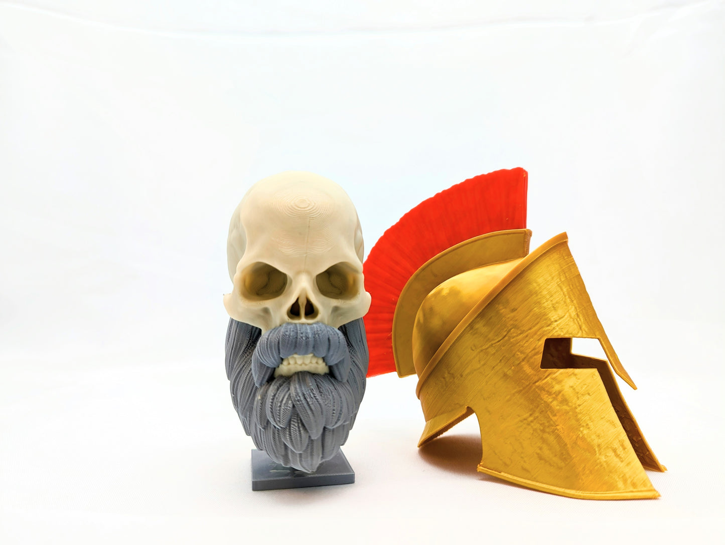 Bearded Spartan Skull